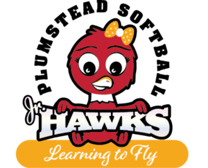 Hawks_Jr_logo_FINAL_ONLINE Hawks_Jr_logo_FINAL_ONLINE