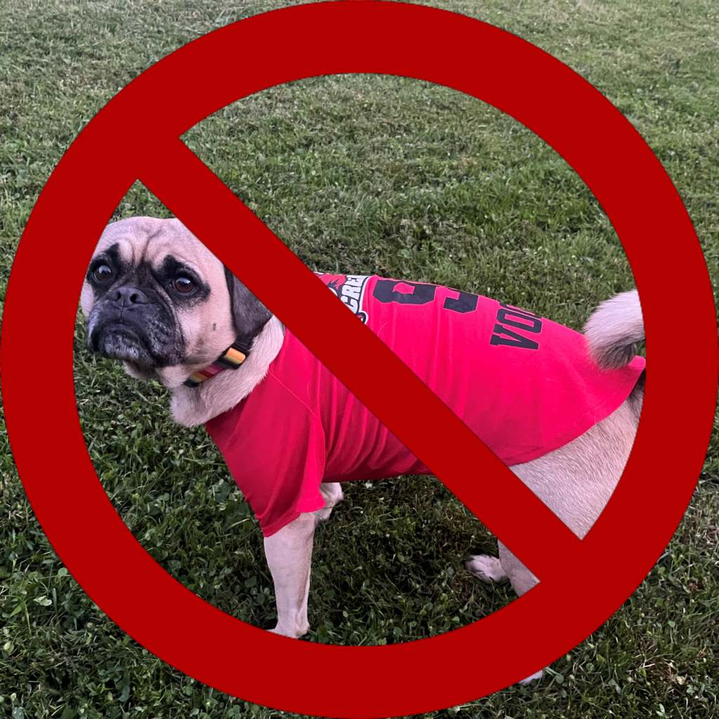 Locations Plumstead Softball